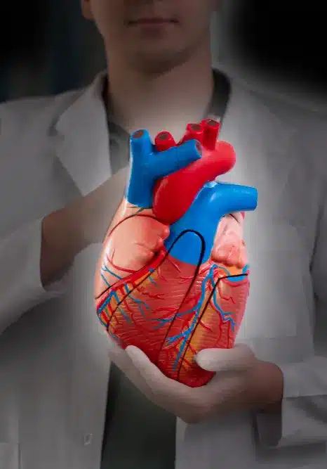 Nitric Oxide from N1O1 for heart health