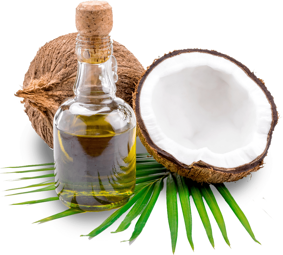 kisspng coconut oil honey food oil 5ab7d84c3b21e3.2406533315219979002422