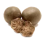 monkfruit