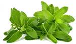 stevia
