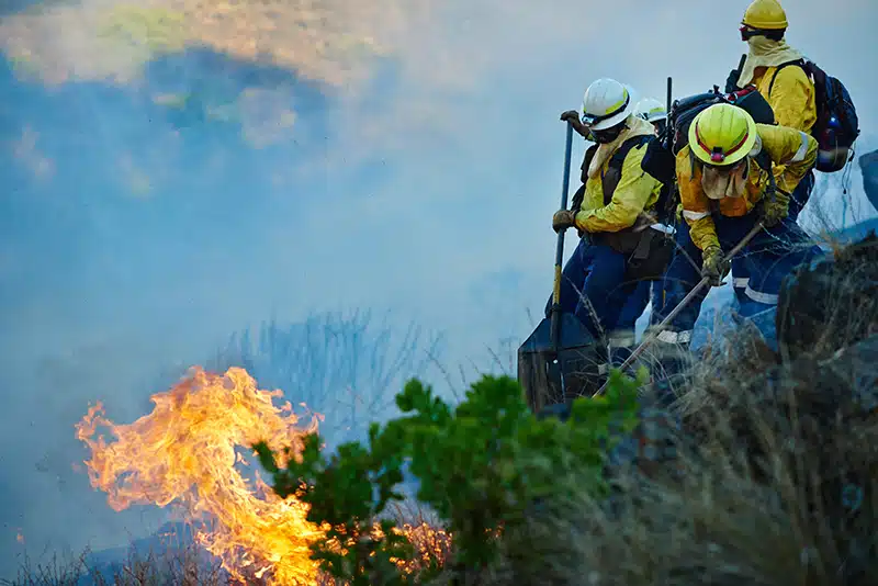 2025 LA Fires - Help the LA firefighters with a free donated bottle of N1O1 Lozenges