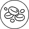 Image gp h full 25