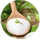 N1o1 ingredients toothpaste Xylitol