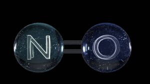 nitric oxide