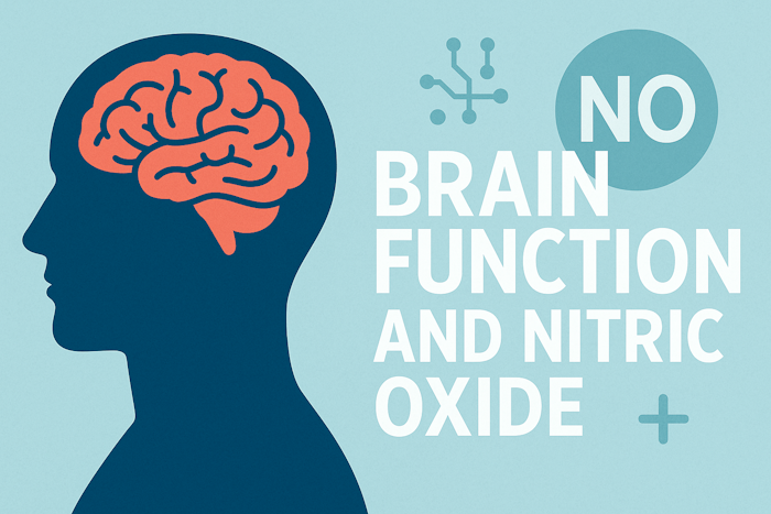 Brain Function and Nitric Oxide