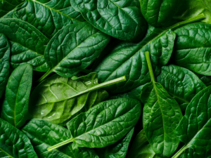 Healthy Nitric Oxide Production