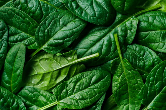 Healthy Nitric Oxide Production