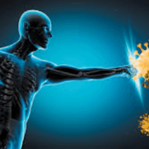 Healthy Immune Function