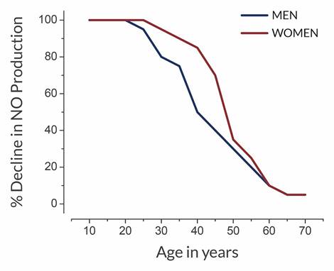 The Decline of Nitric Oxide With Age