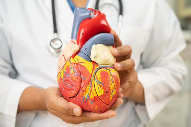 Healthy Circulation