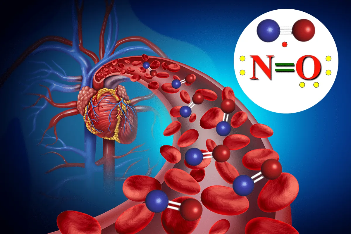Benefits of Nitric Oxide for Health and Wellness. Nitric Oxide, why you need it for health Dr Nathan Bryan